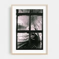 thumbnail image 2 of Window Bound Palms - Ivanhoe California Photography Black and White Abstract Palm Tree Minimalist Botanical Tropical Nature Unframed Wall Art Print 32 x 48 inches, 2 of 60