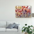 thumbnail image 3 of Trademark Fine Art 'Variety of Flowers I' Canvas Art by Tim OToole, 3 of 4