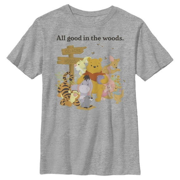 Boy's Winnie the Pooh All Good in the Woods  Graphic Tee Athletic Heather Large