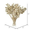 thumbnail image 5 of Vickerman Natural Botanicals 11" x 2-4" Conical Gum Branch Bleached, 20 stems per unit, 5 of 5