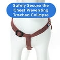 thumbnail image 4 of Pawtitas Reflective Dog Harness - Marsala - (S) Small Step in Dog Harness Training & Walking, 4 of 9