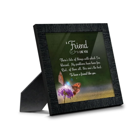 A Friend Like You, Friendship Gifts, Picture Frame for Best Friend 8616