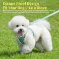 thumbnail image 3 of Tiny Dog Harness - Lightweight Mesh Step-in Vest for Puppy, Reflective & Escape-Proof Design with High-Stick Velcro - Indoor/Outdoor Use for Chihuahua, Maltese, Shih Tzu (Blue, M), 3 of 7
