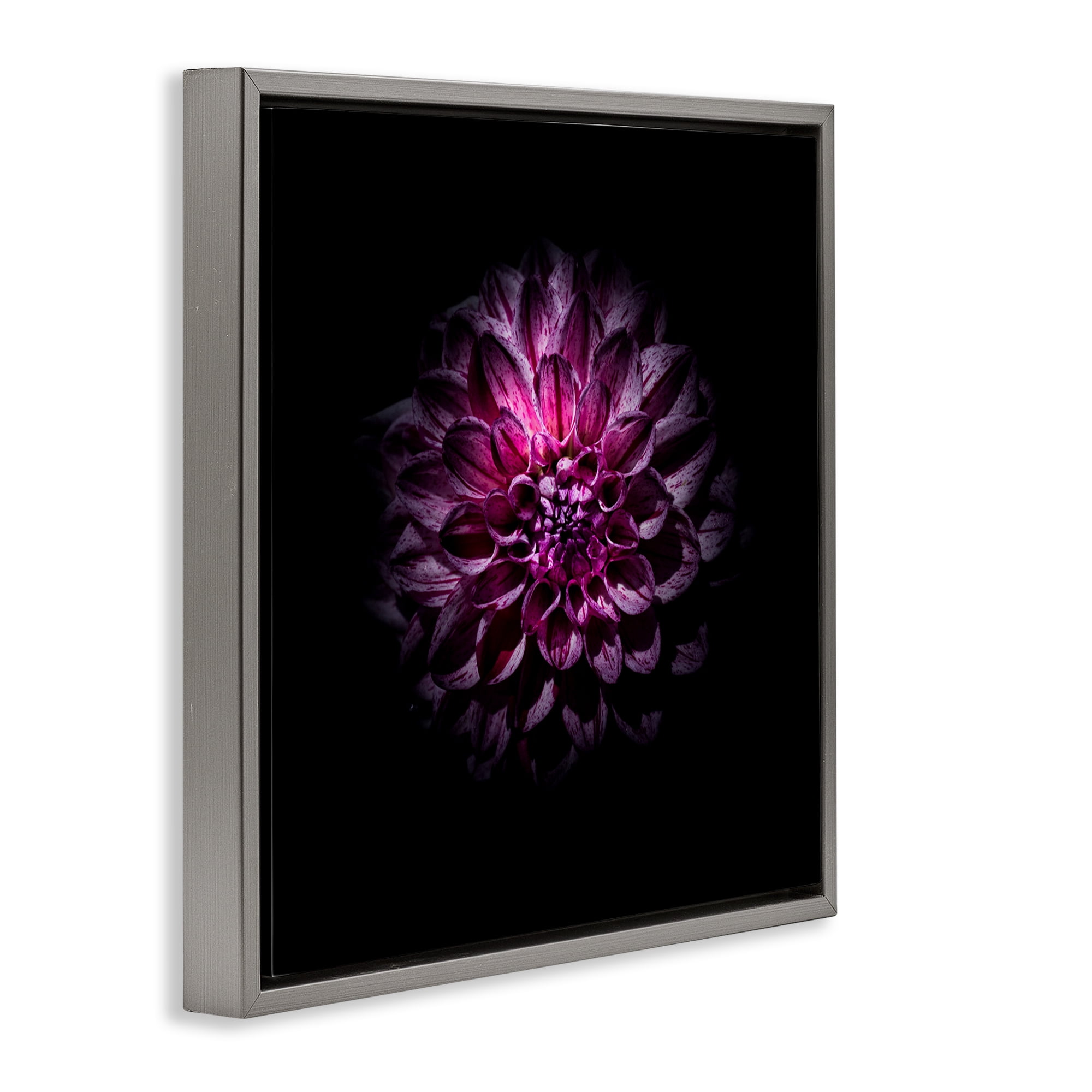 Purple Dahlia Dark Contemporary Gray Framed Floater Canvas Wall Art, design by Brian Carson Photography