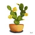 thumbnail image 2 of Bannarot 26x26 White Modern Wood Framed Museum Art Print Titled - Cactus Flowers III, 2 of 4