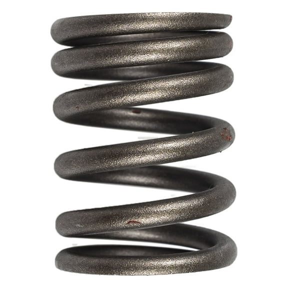 Niche Outer Valve Spring for Warrior Moto-4 Kodiak Bruin 1UY-12114-01 ATV 519-CVS2224P