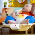 Bright Starts Playful Pinwheels Portable Baby Bouncer with Vibrating