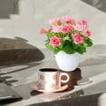 thumbnail image 6 of Artificial Potted for Home Decor - Silk Real Touch Flowers in Decorative Pots, Small Artificial Greenery for Office Desk, Table Centerpiece, Bedroom & Dining Room Decor, 6 of 6