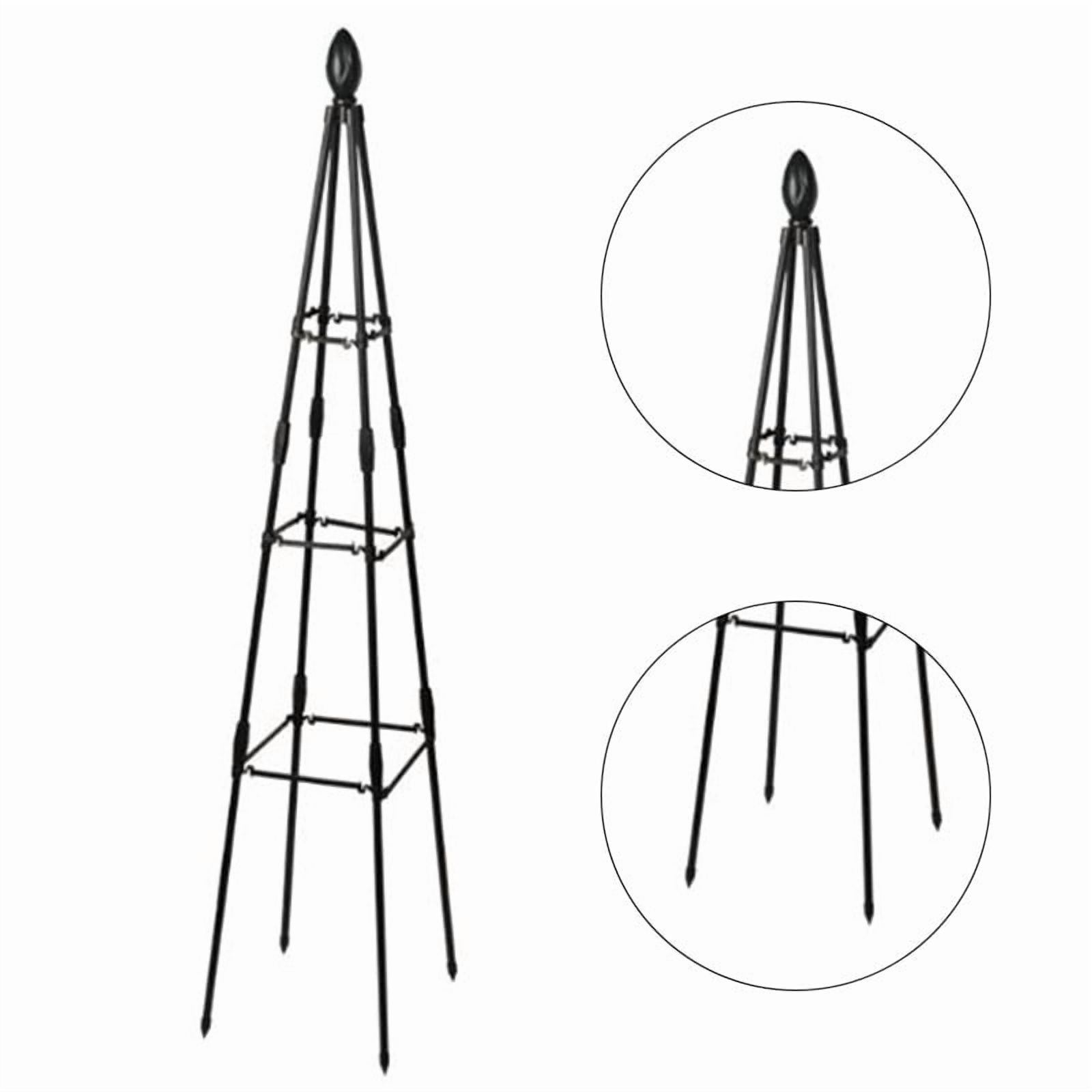 RANME Garden Climbing Plant Bracket Flower Plant Support Bracket Black Height 160Cm