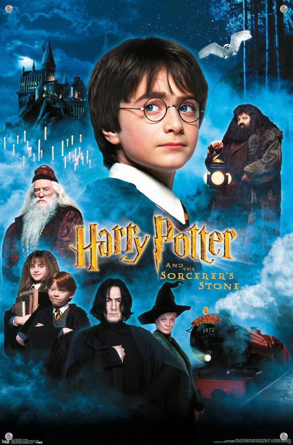 Harry Potter and the Sorcerer's Stone - Candles One Sheet Wall Poster, 22.375" x 34"