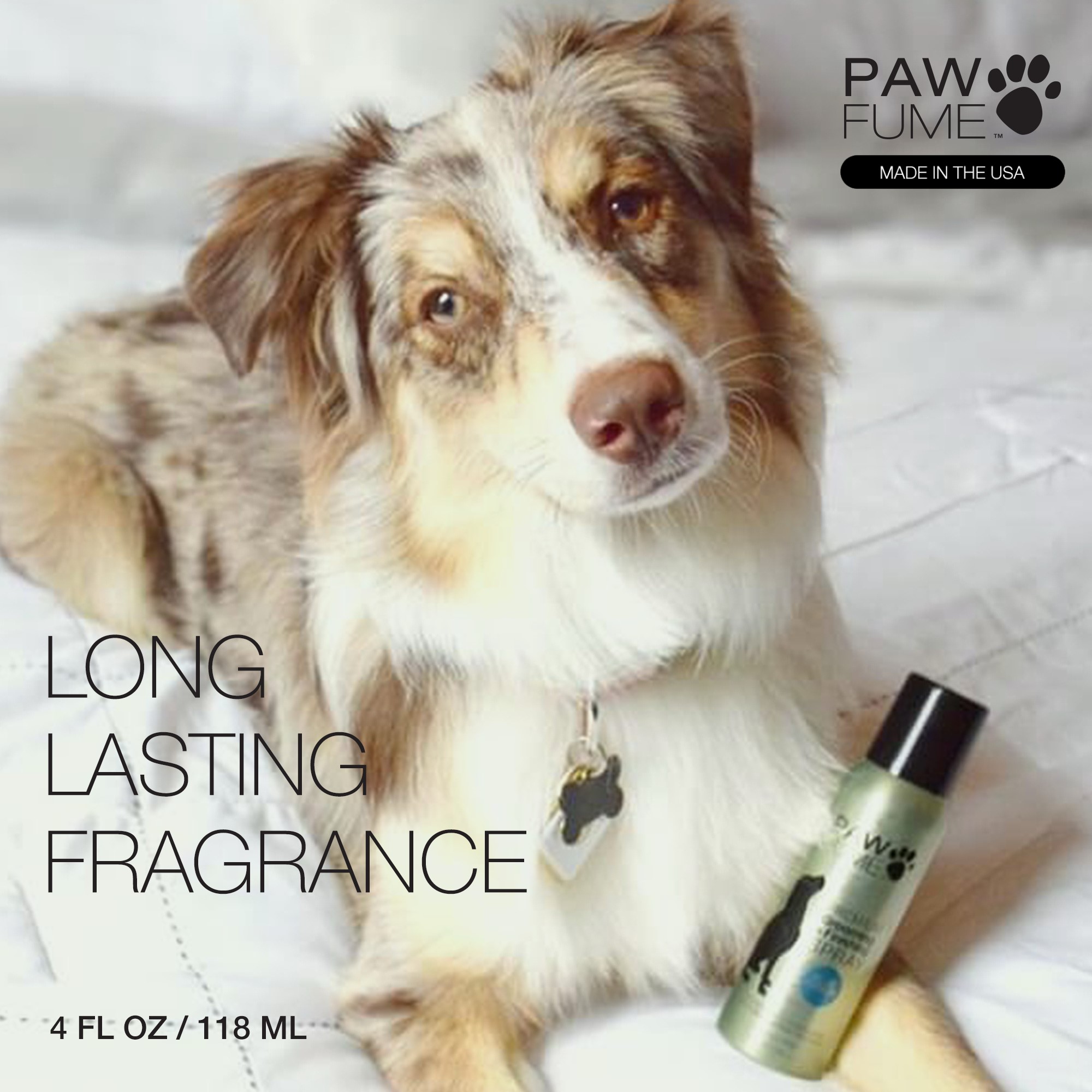 PawFume Blue Ribbon Premium Grooming and Finishing Deodorizer Dog Spray, 4 fl oz Can