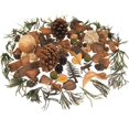 thumbnail image 1 of Pine Creek Lodge Botanical Blend Potpourri, 10 oz, 1 of 1