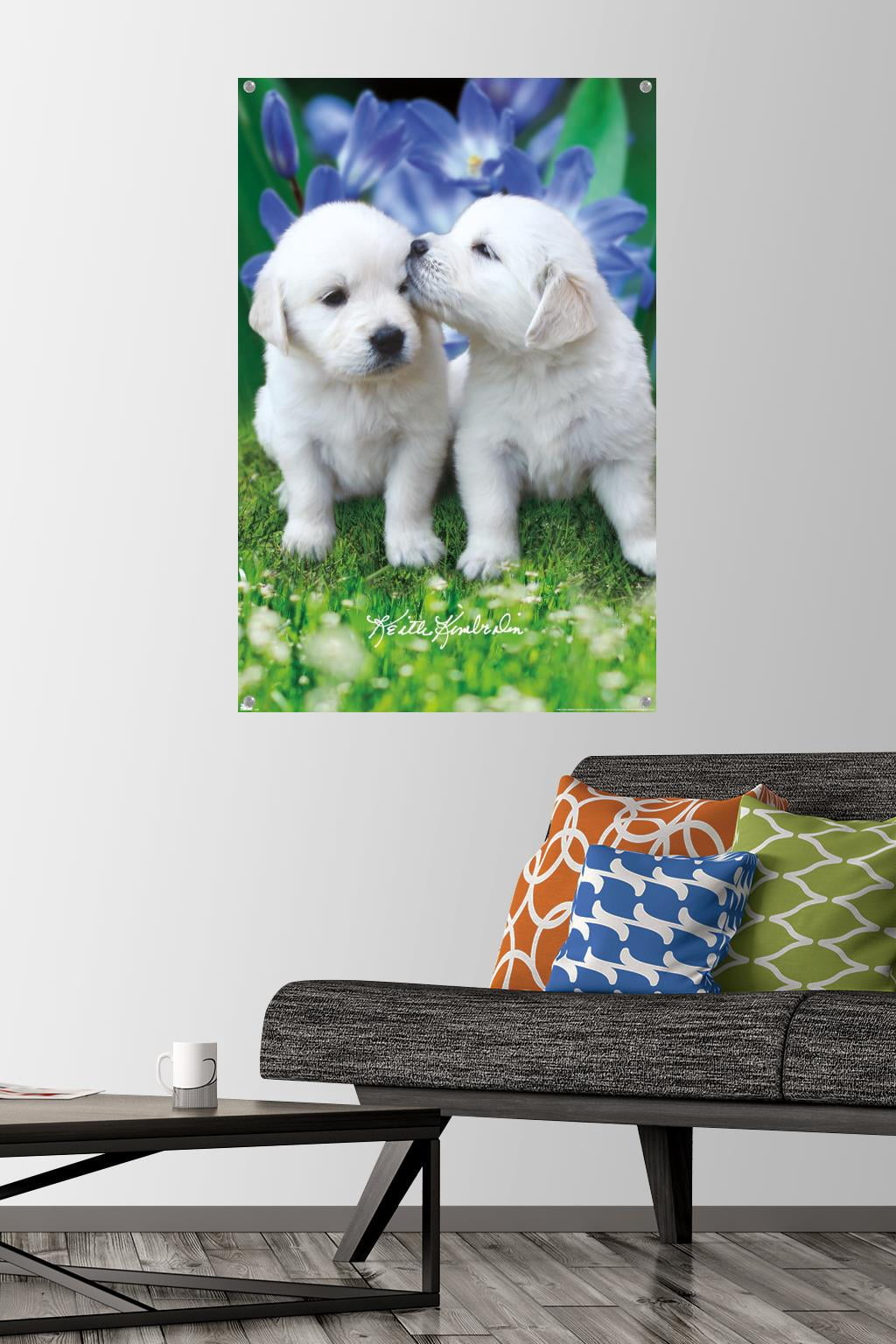 Keith Kimberlin - White Golden Retriever Puppies Wall Poster with Pushpins, 22.375" x 34"