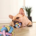 thumbnail image 2 of Reheyre Multi-Color Rubber Pet Chew Ball Toy with Bell - Teeth Cleaning Toy for Pet Supplies, 2 of 7