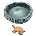 thumbnail image 4 of Reptile Food Feeder Fácil de limpiar natural simulada Robusto 8x8x2CM Zulema Alimentador de reptiles, 4 of 8