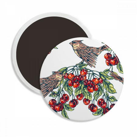 

Bird Fruit Eat Green Round Ceracs Fridge Magnet Keepsake Decoration