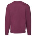 thumbnail image 2 of Fruit of the Loom Chandail Raglan Classique pour Adulte, 2 of 3