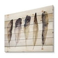 thumbnail image 2 of Designart 'Dark Gray Feathers Boho Ethnic II' Bohemian & Eclectic Print on Natural Pine Wood, 2 of 5