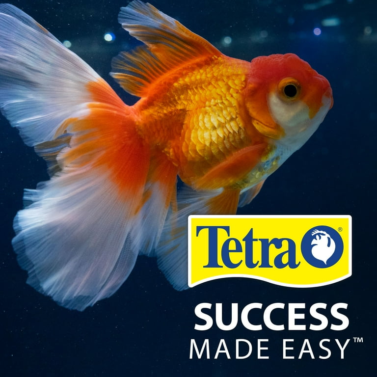 Clear tetra fish sales