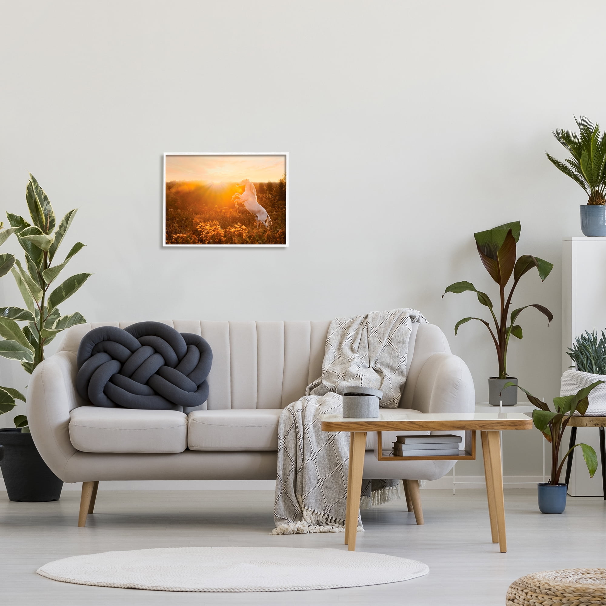 Stupell Industries Standing Horse in Rising Sun Landscape Photography White Framed Art Print Wall Art, 20 x 16