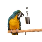 Large Stainless Steel Bell Toy for Parrot