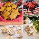 thumbnail image 5 of 5 Pieces Stainless Steel Six-Pointed Star Cutter Molds, Ideal for Christmas, Halloween, Birthday Parties, Fondant, Cake, 5 of 5