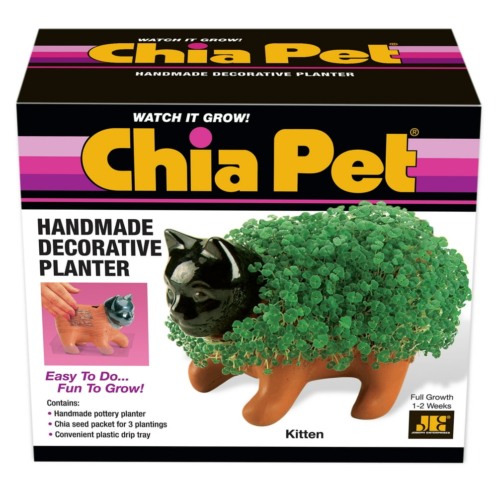 Joseph Enterprises CP 03116 Kitten Chia Pet Case of 16