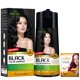 thumbnail image 1 of Herbishh Champ&uacute; de color para cabello - Champ&uacute; y acondicionador para te&ntilde;ir el cabello - Larga duraci&oacute;n, cobertura completa de canas y bricolaje (Black), 1 of 7