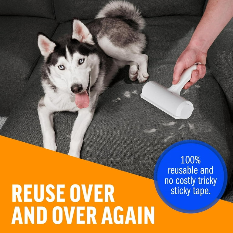 Pet hair clearance remover for couch