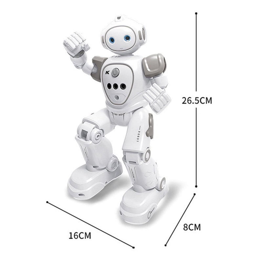 RC Robot Toys for Kids Remote Control Robots Toy with Gesture