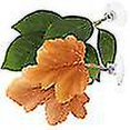 thumbnail image 3 of 2pcs Betta Spawning Grounds Fish Tank Landscaping Decoration Betta Fish Hammock, 3 of 3