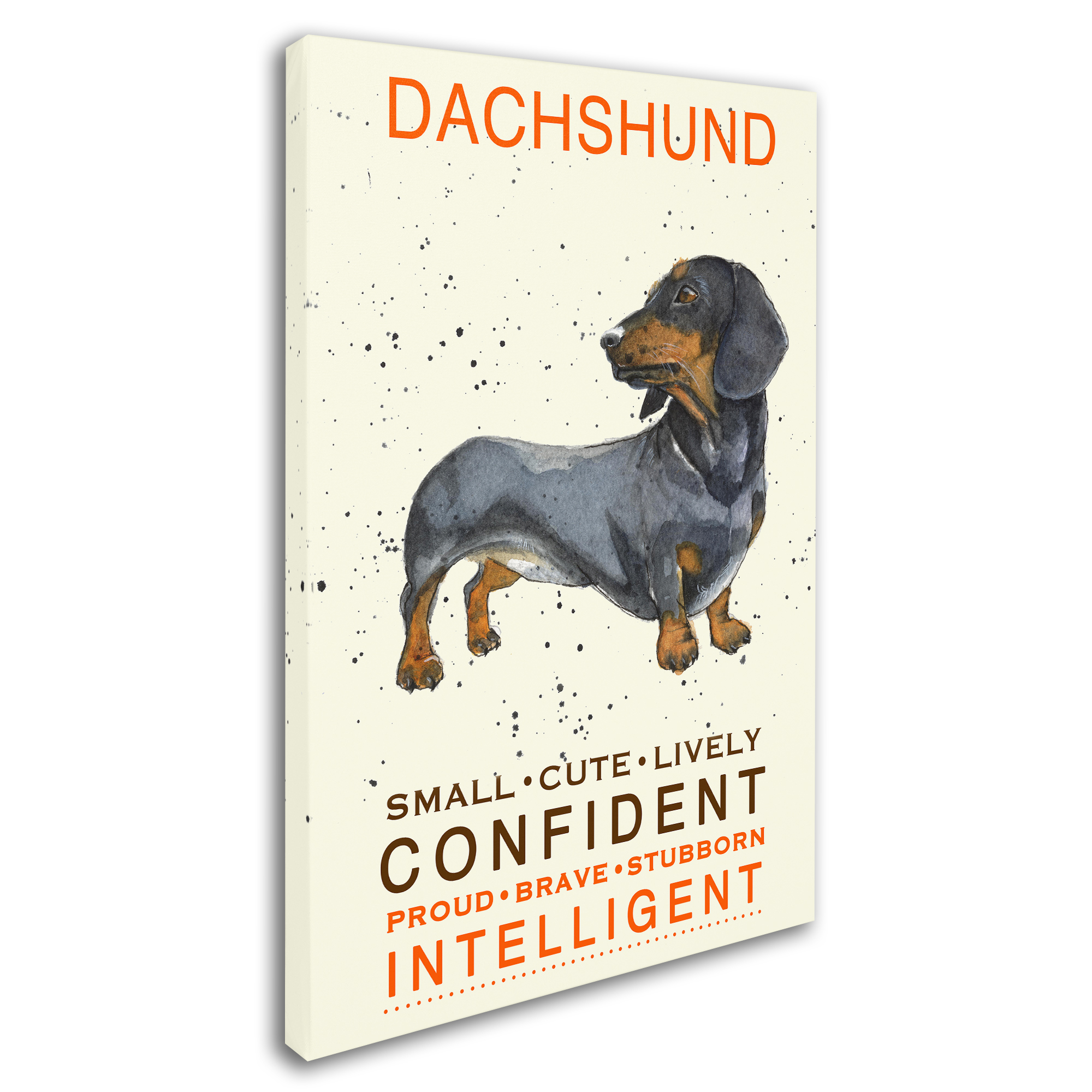 Trademark Fine Art 'Dachshund Print' Canvas Art by Michelle Campbell
