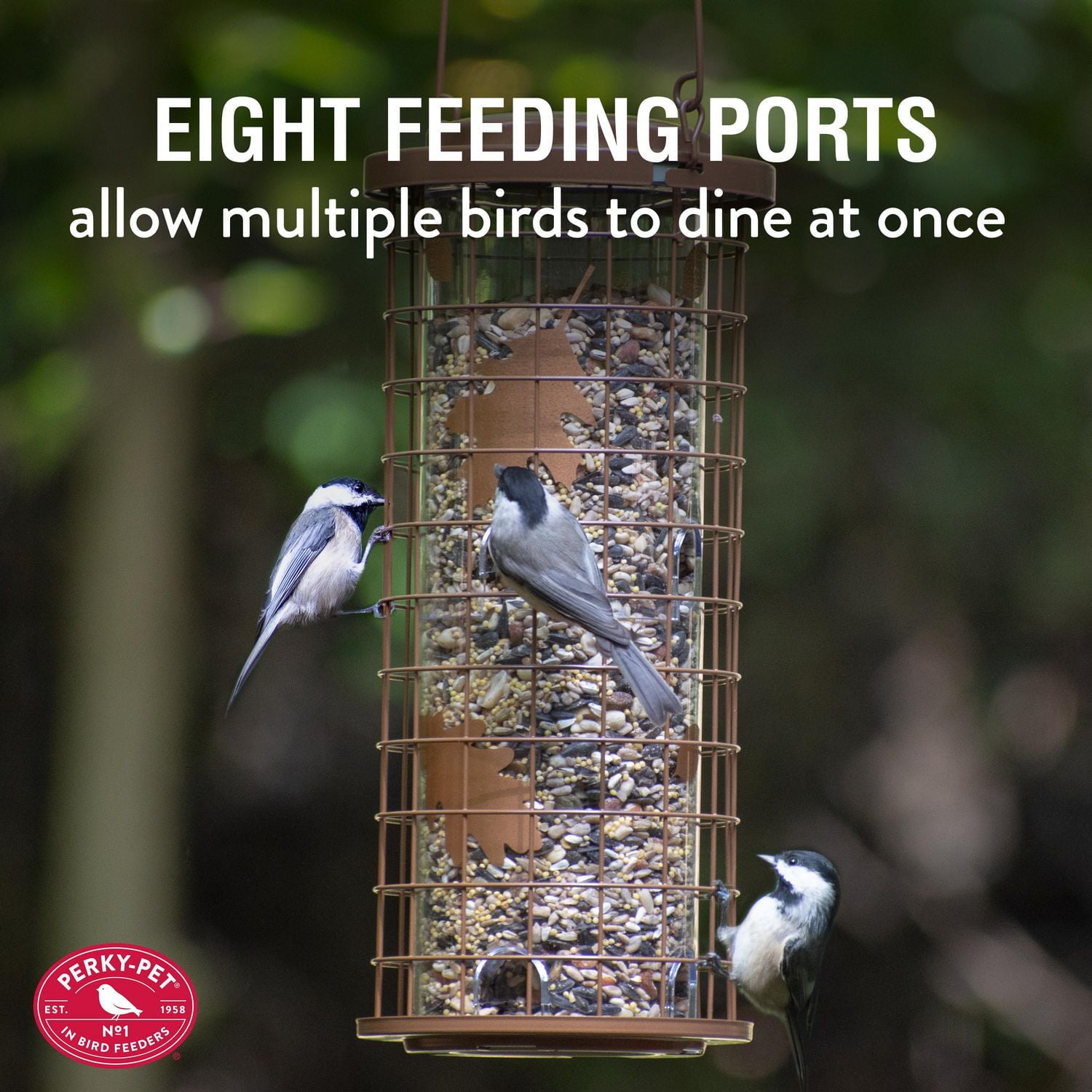 Mangeoire à oiseaux sauvages contre écureuils Perky-Pet