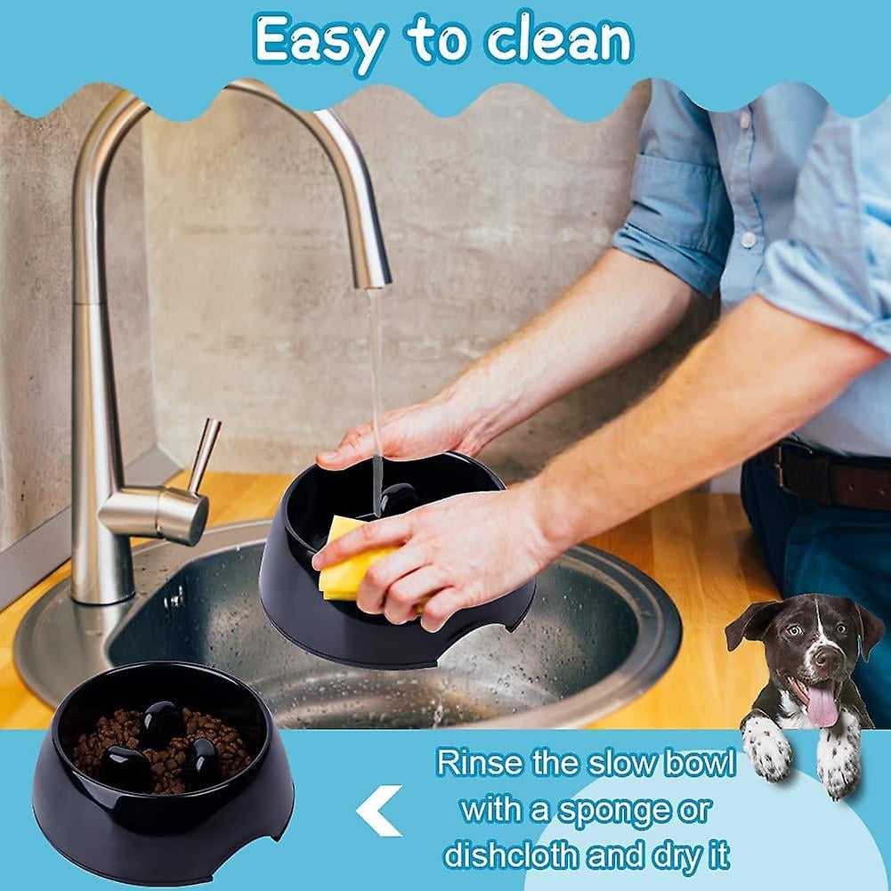 Anti gobble dog bowl 2025