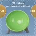 thumbnail image 5 of Basics Raised Cat Feeding Bowls, Cat Ear Shape, Tilted Design, Whisker-Stress Free, 5.71 x 3.66 in, Green, 1-Pack, 5 of 6