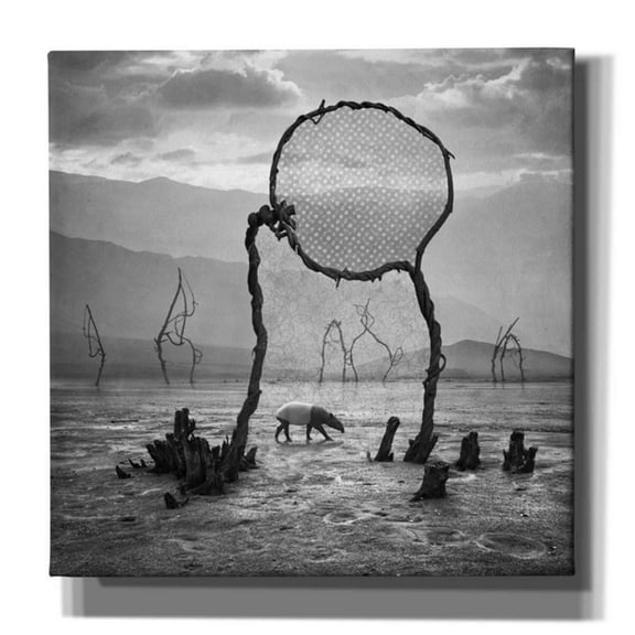 Epic Graffiti 'Tapir' by Dariusz Klimczak, Canvas Wall Art, 37"x37"