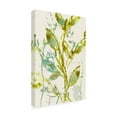 thumbnail image 2 of Trademark Fine Art 'Watercolor Leaves I' Canvas Art by Jennifer Goldberger, 2 of 4