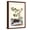 Brown Frame, variant on Art.com Shoreline Purslane with a Common Surinam Toad Art Print by Maria Sibylla Merian, 12" x 18"