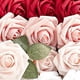 thumbnail image 4 of Rosas artificiales de espuma de 8 cm con tallos, 25 unidades, set de regalo para decoración del hogar E, 4 of 9