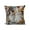A, variant on Cute Cat Print Pillow, Bedroom Living Room Sofa Cushion for Sofa Living Room Decoration, 18x18in (without Core)