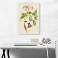 thumbnail image 2 of ARTCANVAS Branch Of Achiote With Firetip Butterfly 1702 Canvas Art Print by Maria Sibylla Merian - Size: 26" x 18" (0.75" Deep), 2 of 9