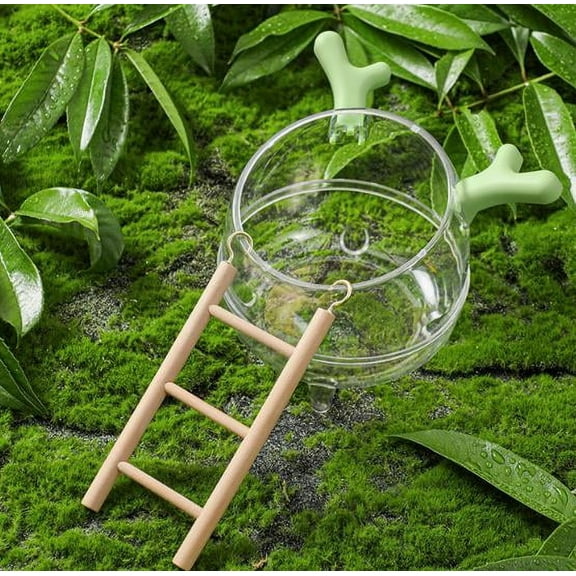 Myenne Hamster Sand Bath Box Transparent Sand Bath Shower Gerbils Digging Room Container With Climbing Ladder Litter Box For Hamsters Guinea Pigs Mice