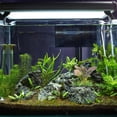 thumbnail image 4 of BRIGHTFUFU Artificial Para Terrario De Reptiles Y Acuario Con Y Fácil Instalación, 4 of 6