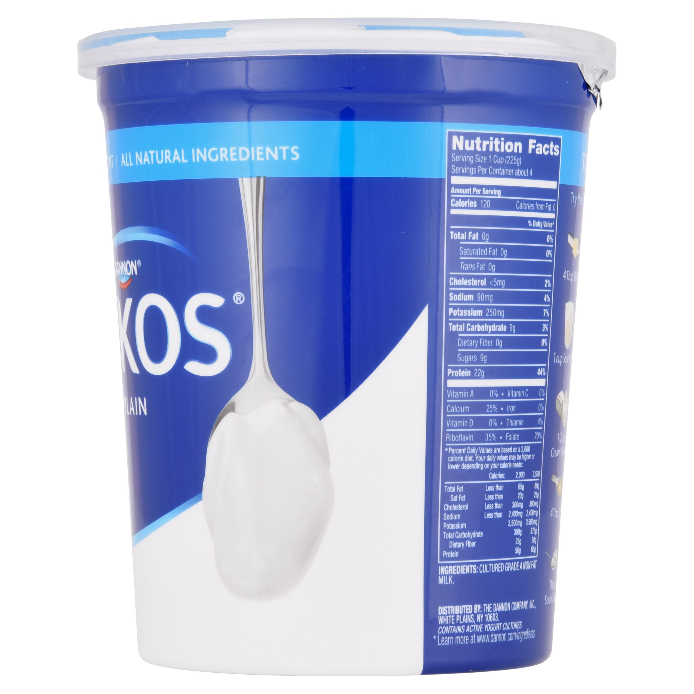 Oikos Plain Yogurt Nutrition Facts Besto Blog