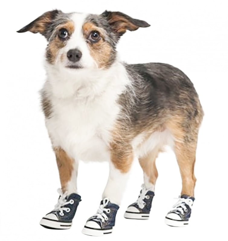 dog sneakers