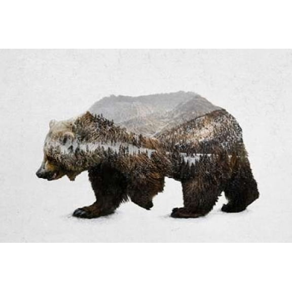 The Kodiak Brown Bear Canvas Art - Davies Babies (24 x 36)