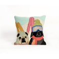thumbnail image 1 of Frontporch Ski Patrol Multi Square Pillow, 1 of 1