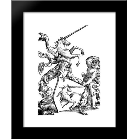 Family coat of arms Baldung 20x24 Framed Art Print by Hans (Best Family Coat Of Arms)