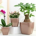 thumbnail image 3 of Bobasndm 3 Pack Self Supporting Planters and Pots for Indoor Plants, Large Plastic Orchid Pots with Water Injection Hole, African Violet Planter Set, 3 of 9