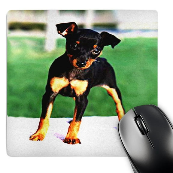 3dRose, Pinscher Puppy, MousePad
